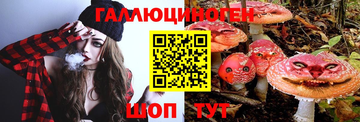 Кизляр  Галлюциногенные грибы мухоморы  Вход с VPN 