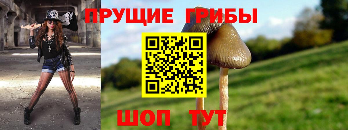 Галлюциногенные грибы GOLDEN TEACHER Кизляр